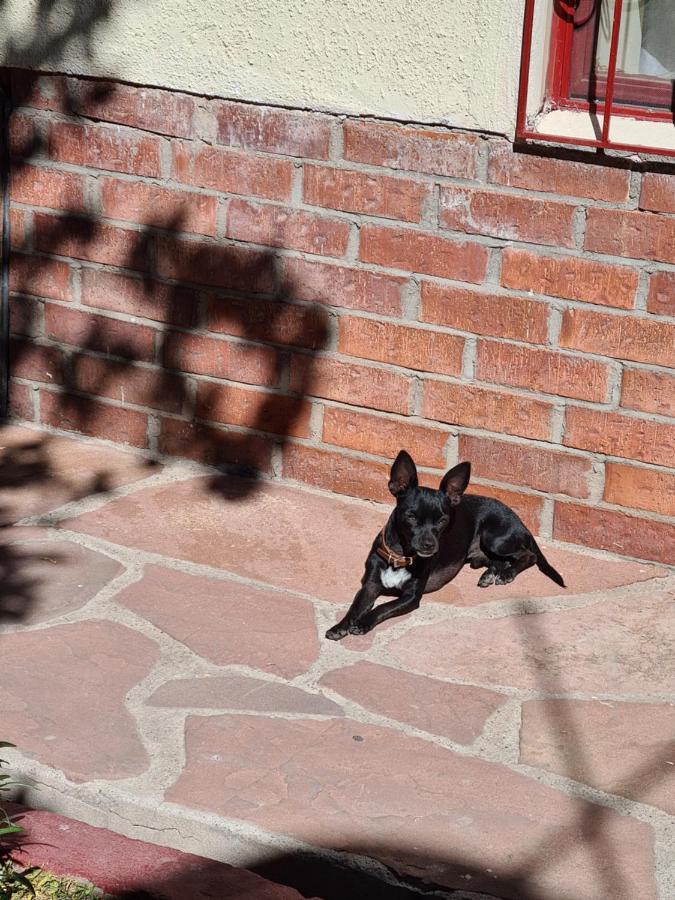 Hostal Ika Chihuahua Zewnętrze zdjęcie