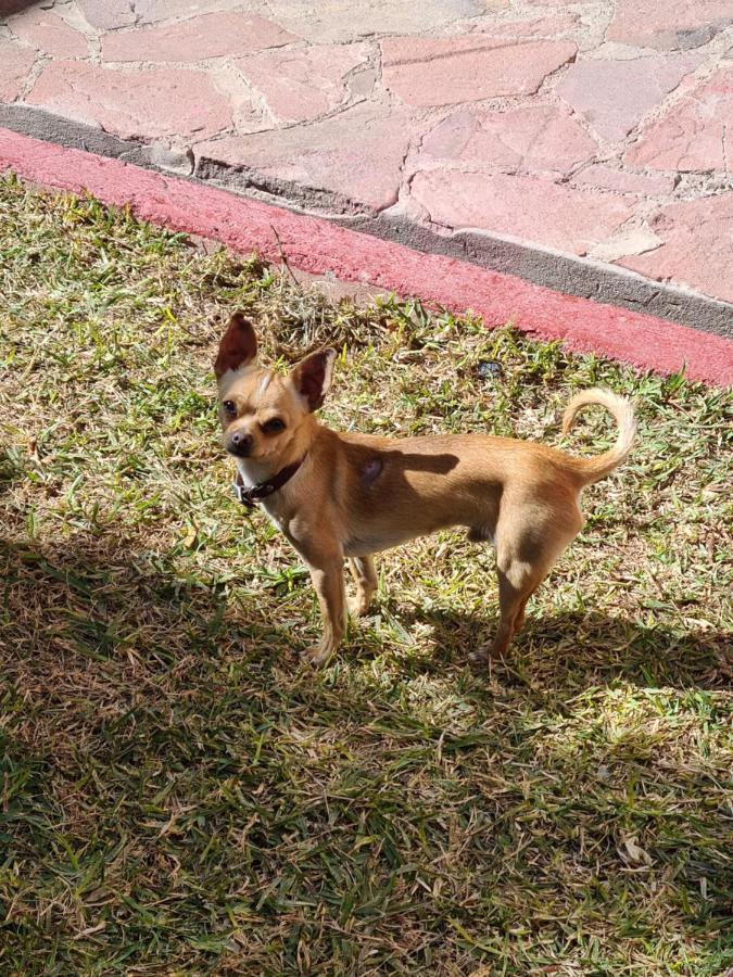 Hostal Ika Chihuahua Zewnętrze zdjęcie
